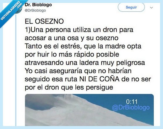 500961 - Detrás de este vídeo viral de un osezno que nos da una lección a todos existe un claro mensaje del cual nadie se había percatado