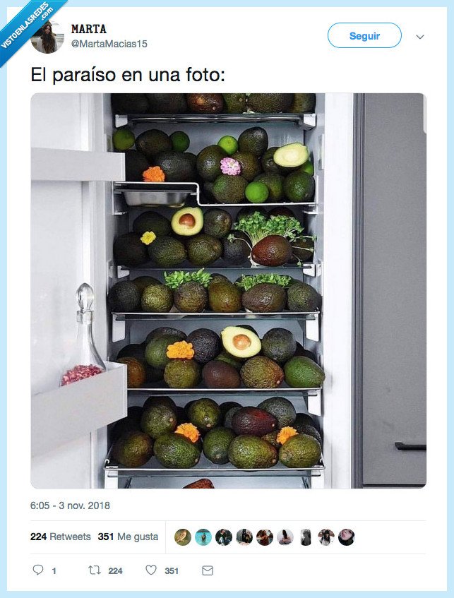 aguacate,paraiso,cenar,que rico