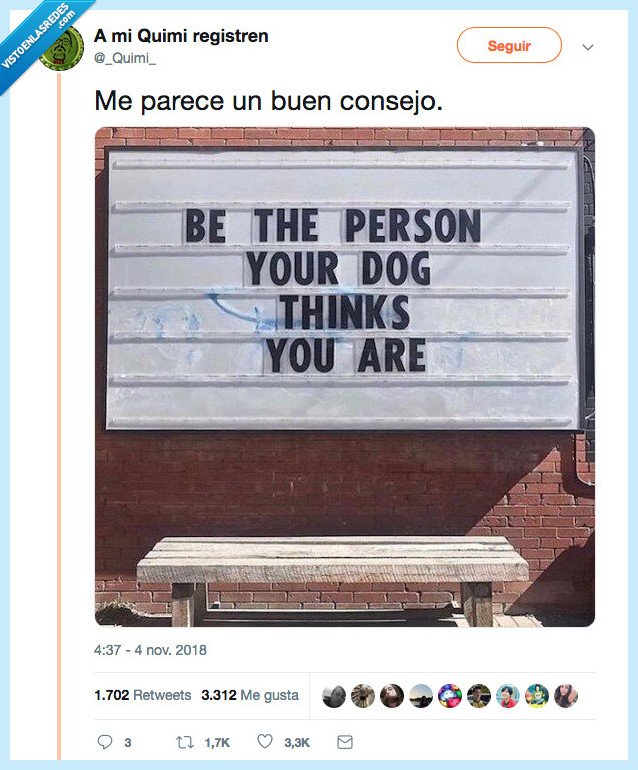 gatos,funcionar,consejo