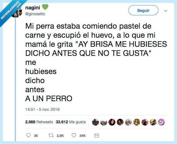 perro,pastel,comer,decir