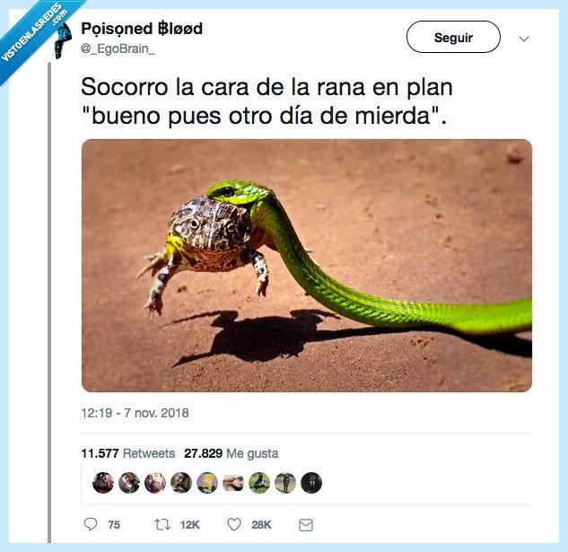 rana,ser,cara,dia de caca