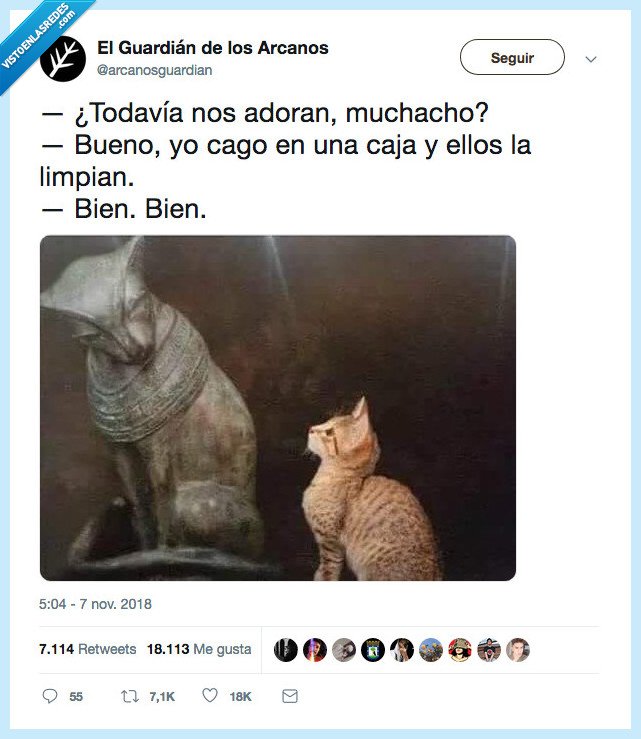 idolatrar,parecer,yo no sé