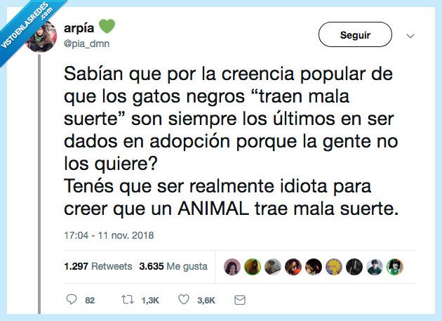 gatos,negros,mala suerte,dar