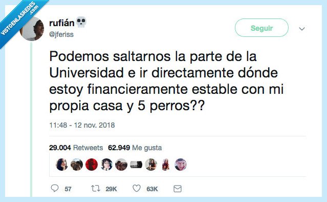años,tener,universidad,casa perros