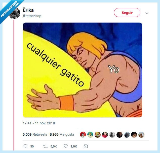 gato,abrazar,todos a m&iacute;