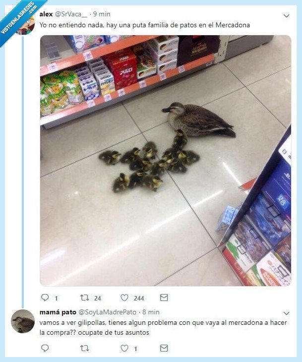 mercadona,pato,cuackcuack