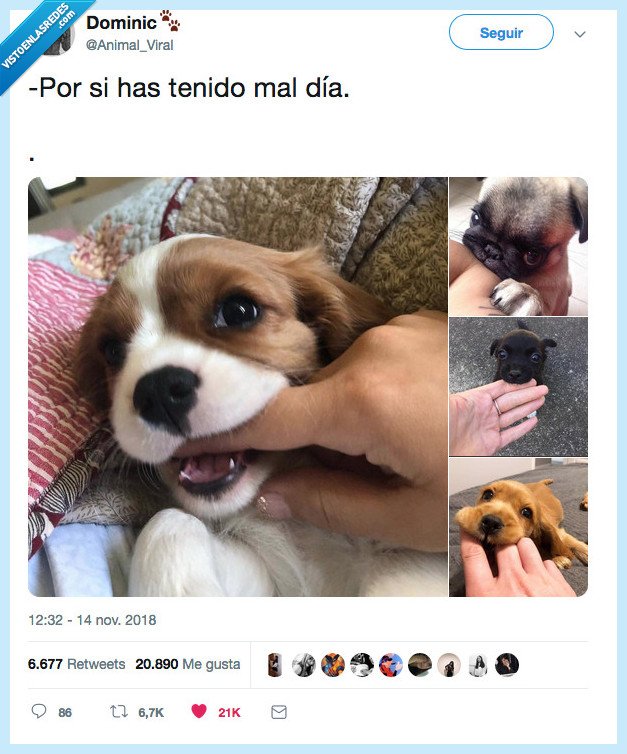 alegrar,mal día,tener