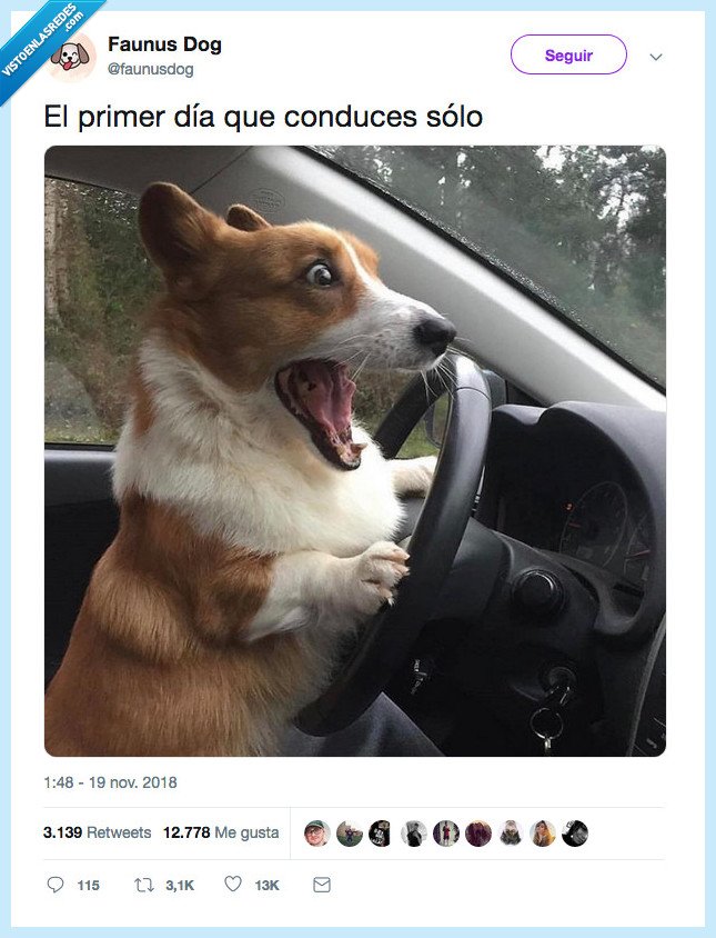 descripción gráfica,perrete,cambiar