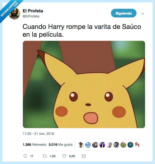 harry potter,lenta,varrita,sauco