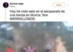 Enlace a Compra estos muñecos de Star Wars en Murcia que se parecen muy poco a los reales pero nos hemos reído mucho con las caras, por @Algie__