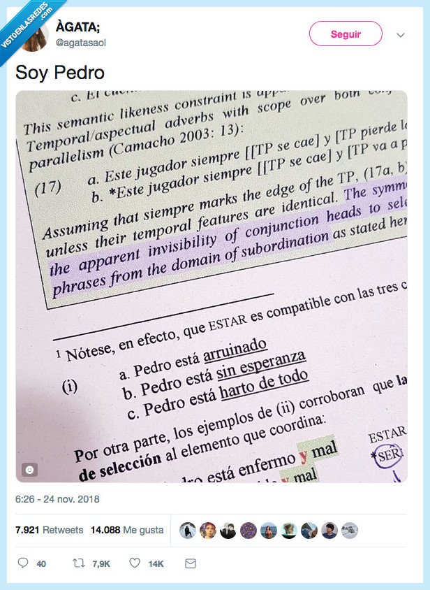 pedro,representar,soy yo