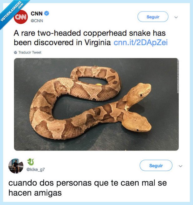 niño,numero,joput,animal mitologico