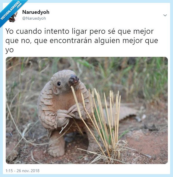 pangolín,amor,relaciones,inseguridad