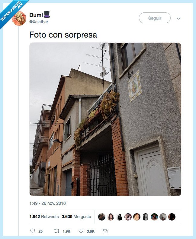 encontrar,foto,sorpresa