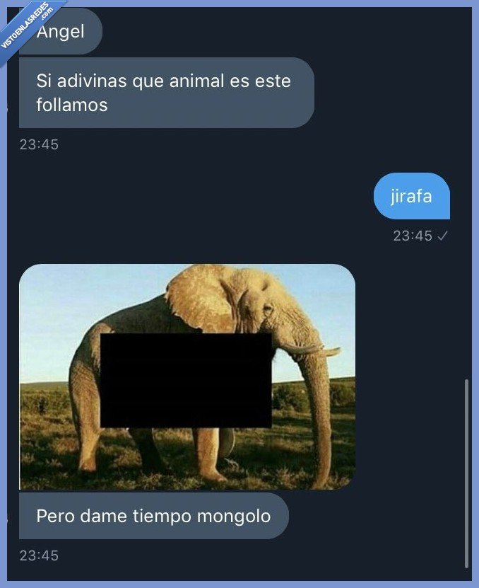 desesperado,conversacion,ligar