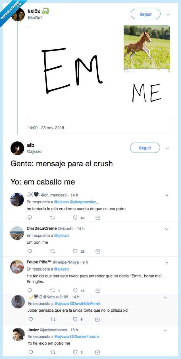 entender,jerogl&iacute;fico,potro