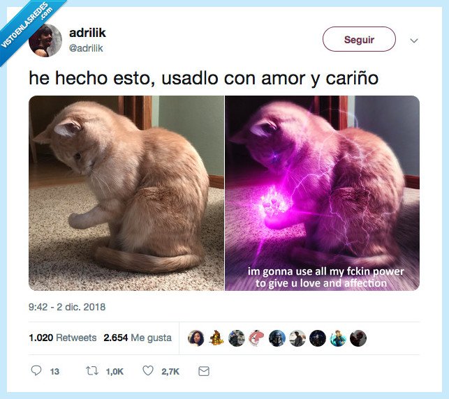 todo mi amor pa ti pulo,gato,amor cariño,ay