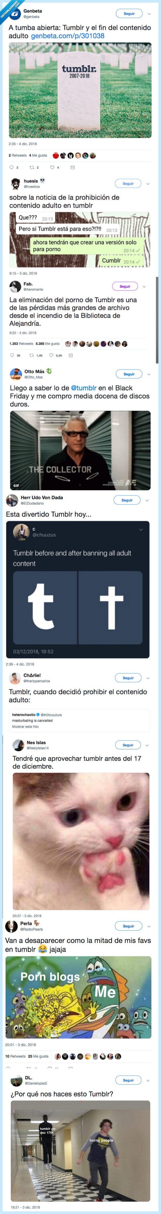 tumblr,eliminar,contenido adulto,NOOOO