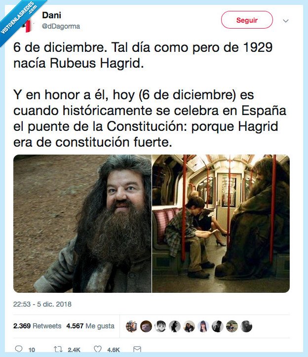 hagrid,6 de diciembre,constitución