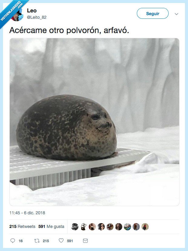 casa,acercarme,polvorón