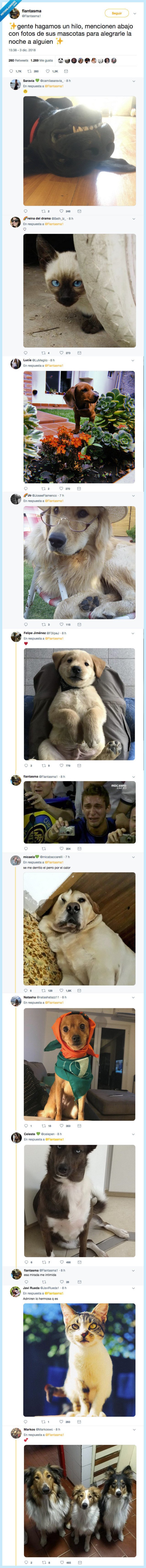 flantasma,animar,final,puente