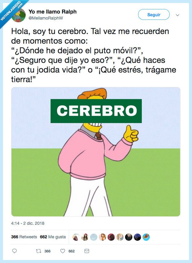 cerebro,mejor,funcionar
