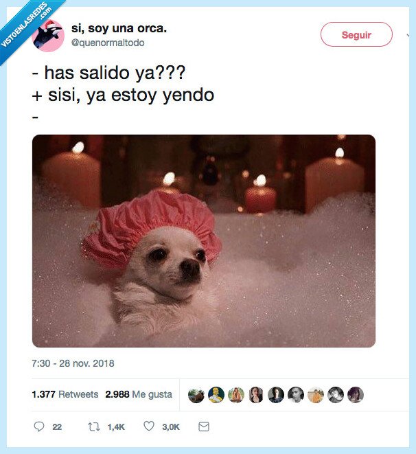 normal todo,yendo,ducha,baño
