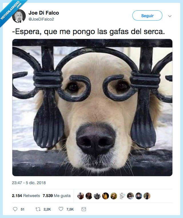 ladrar,mejor,perro