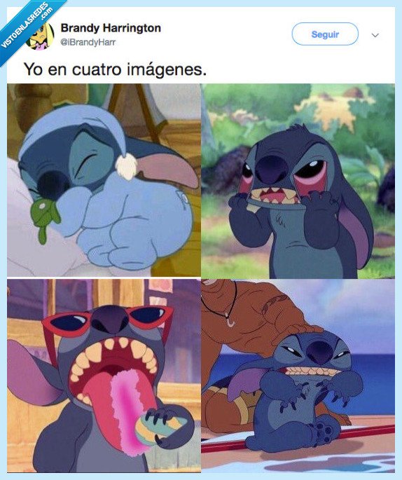 stich,animal,espiritual