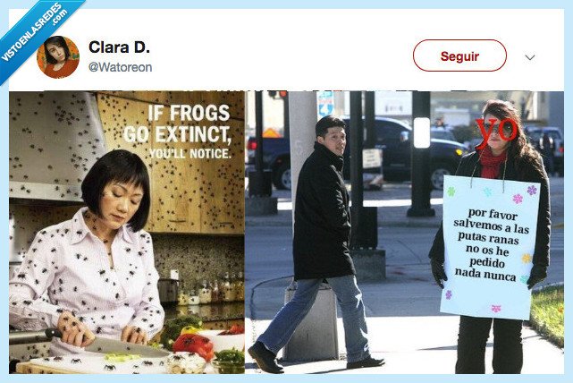 ranas,tocar,ni se nos ocurra,dios