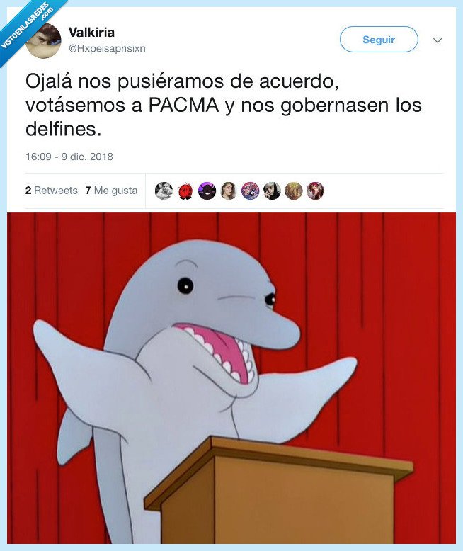 sonar,algo,delfin