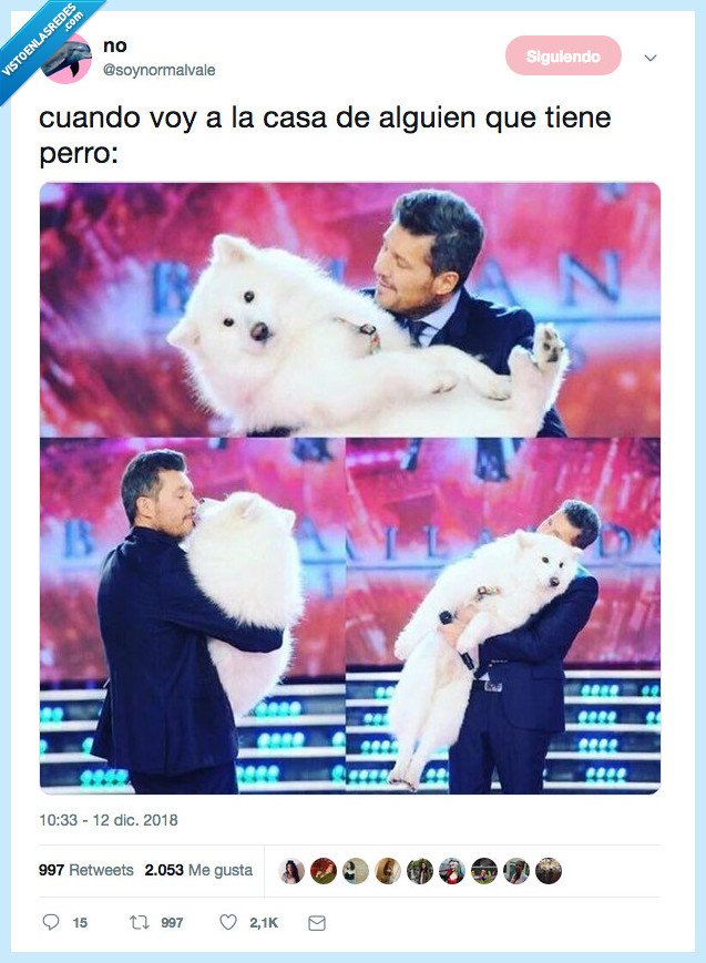 meme,perro,casa,alguien,tener
