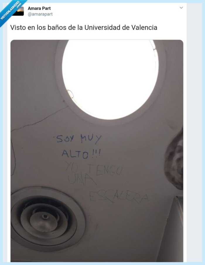 baño,universidad,alto