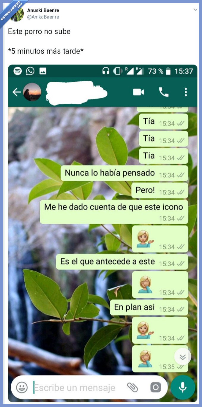 Porro,iconos,WhatsApp