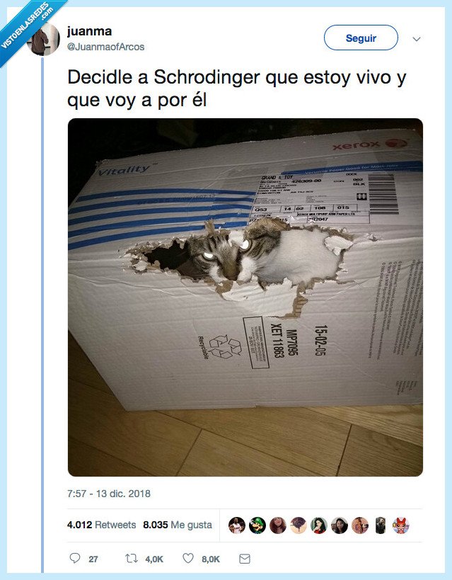 verdad,gatos,la verdad
