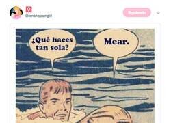 Enlace a Ya decía yo que el agua estaba muy caliente para ser diciembre, por @cmonspaingirl