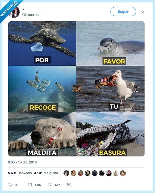 propósito,2019,ser,basura