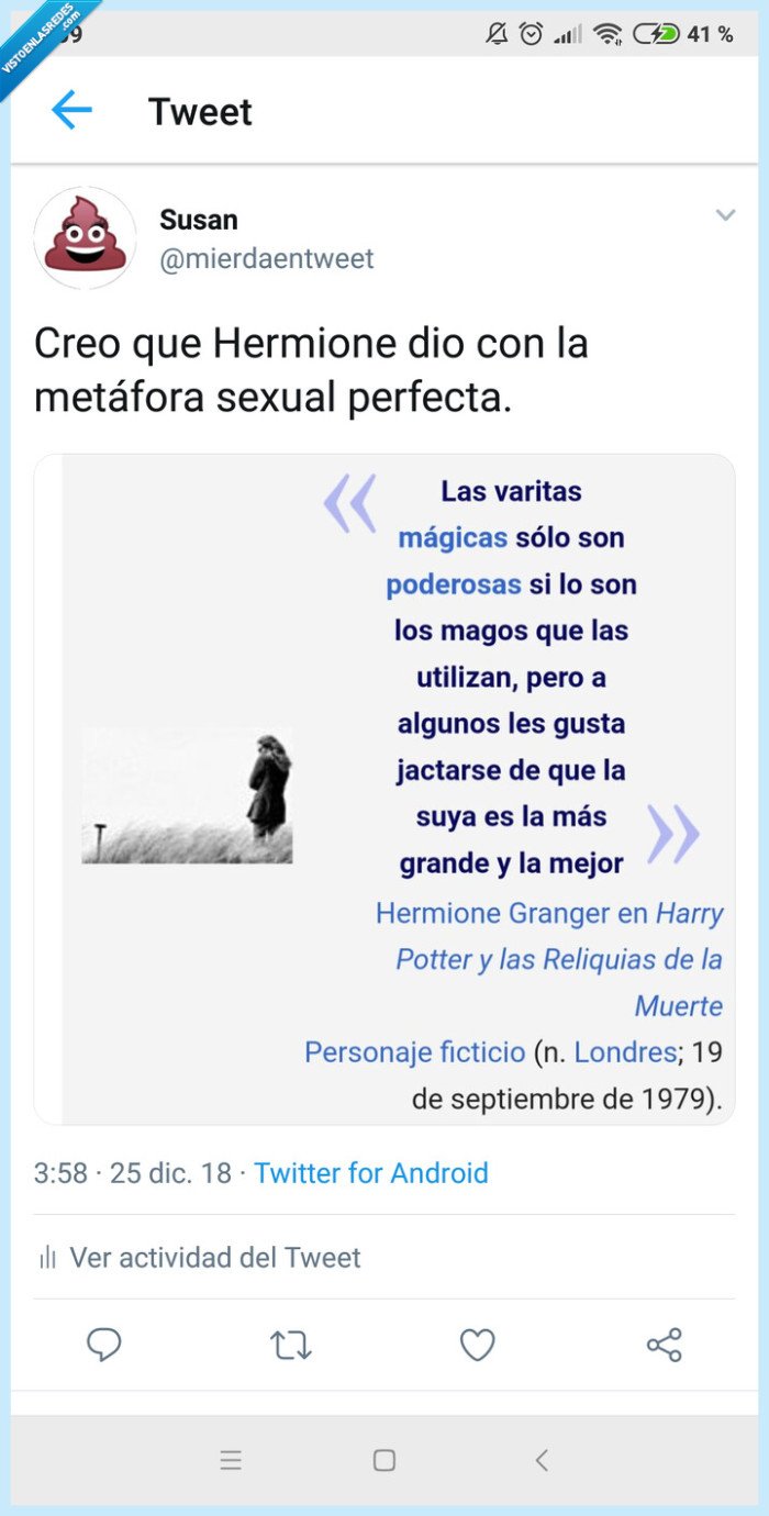 Harry Potter,Hermione,JK Rowling,Metáfora