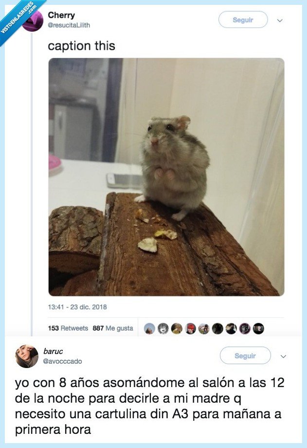 imagen,describir,infancia