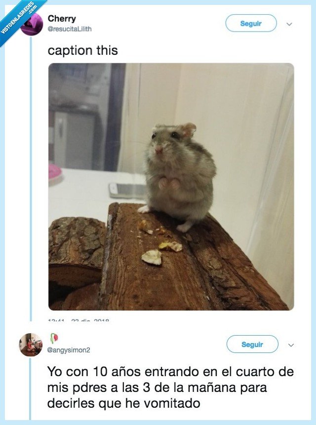 hamster,representada,soy yo niña