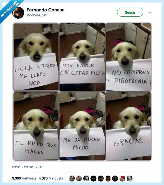 petardos,usar,noa,pirotecnia perros,miedo