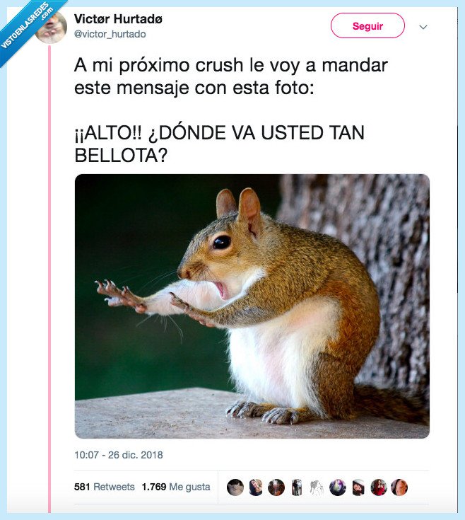 conquistar,coraz&oacute;n,ardilla