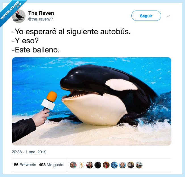 bus,ballena,orca