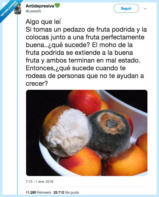 conclusi&oacute;n,alejar,podrido