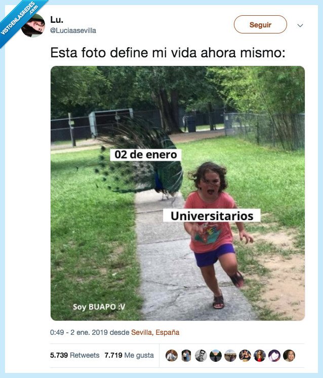 jodides,jodidos,vida,universidad,0 navdidad