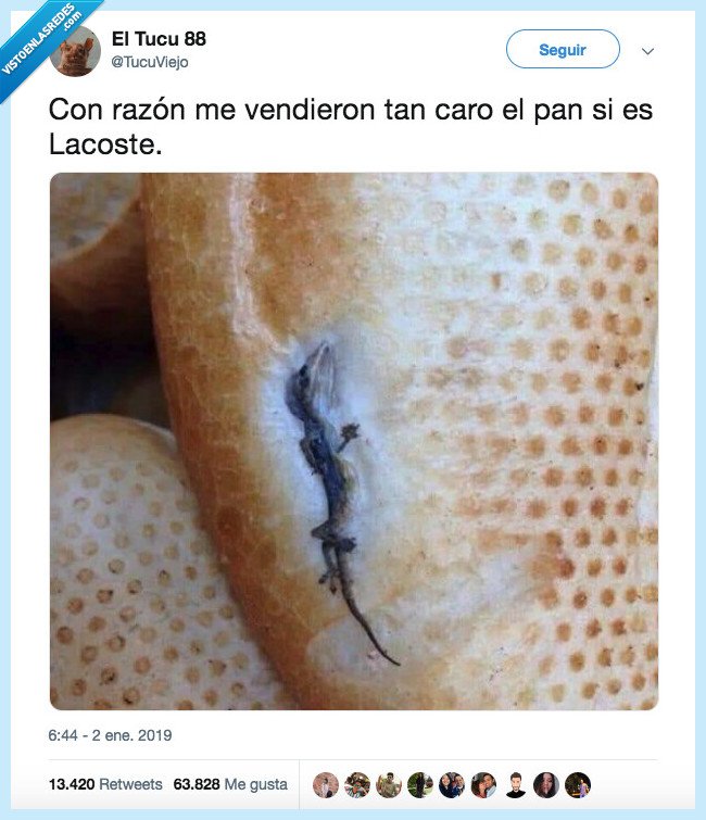 pan sin marca,ecs,lacoste