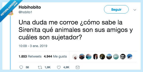 corroe,sirenita,amigos,sujetador