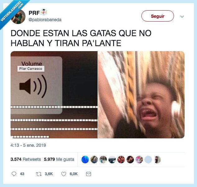canción,gatas,tirar pa lante