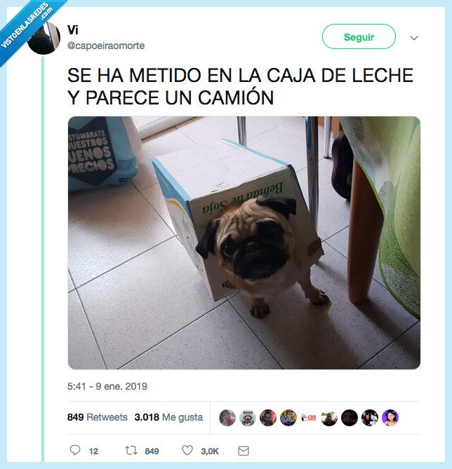 cami&oacute;n,feliz,ser