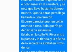 Enlace a Avisa que hay un perrete atropellado en la calle y gracias a Dios es algo mucho más divertido